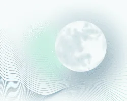 mooncanv25